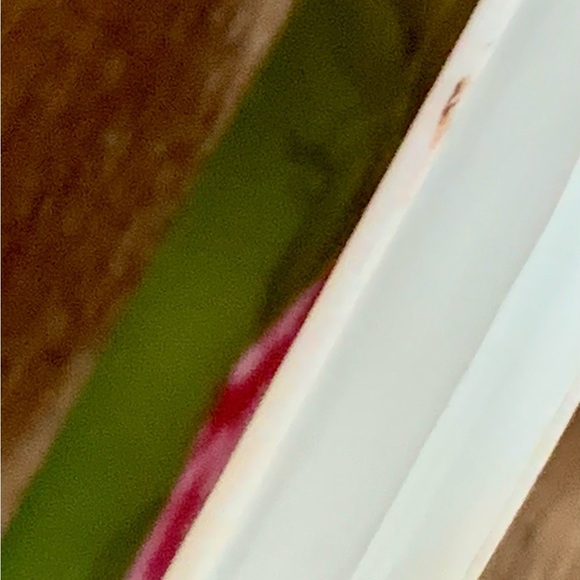 RS Prussia  German Hand painted  plate Germany 6.5” - Picture 6 of 7